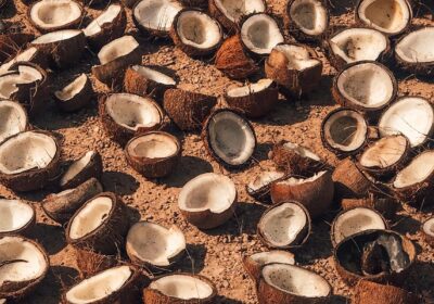 Coconut_Shells