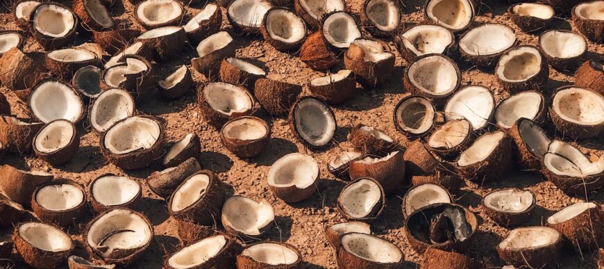 Coconut_Shells