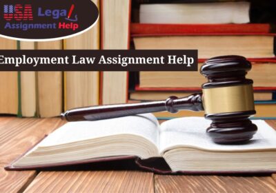 Employment-Law-Assignment-Help-min