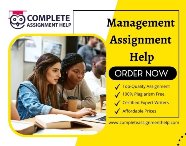 Management-Assignment-Help