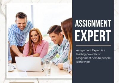 Online-assignment-expert
