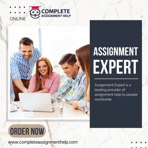Online-assignment-expert