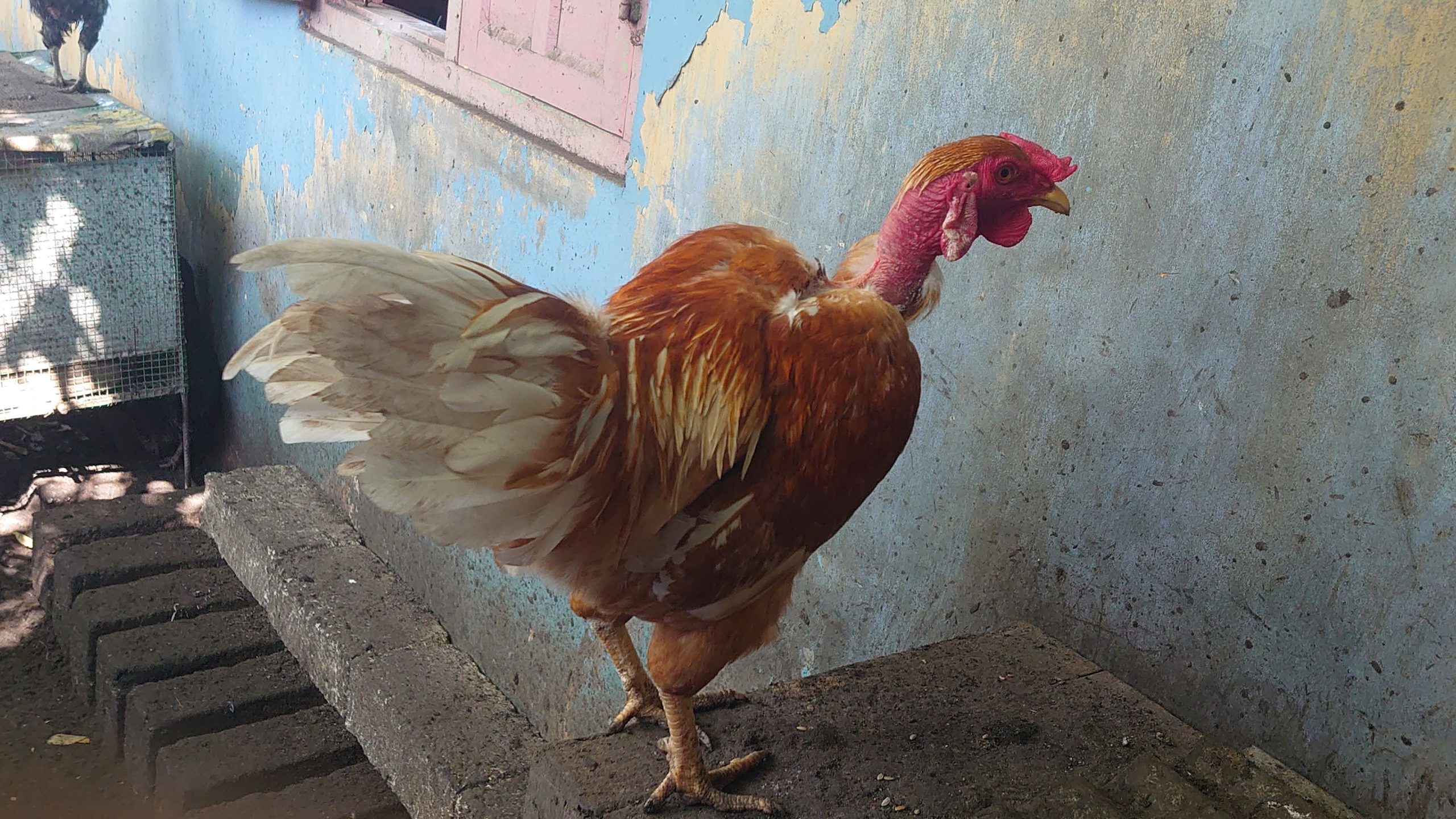 1d6ac5f8-e4ab-4aa7-b986-599d392c7c9e