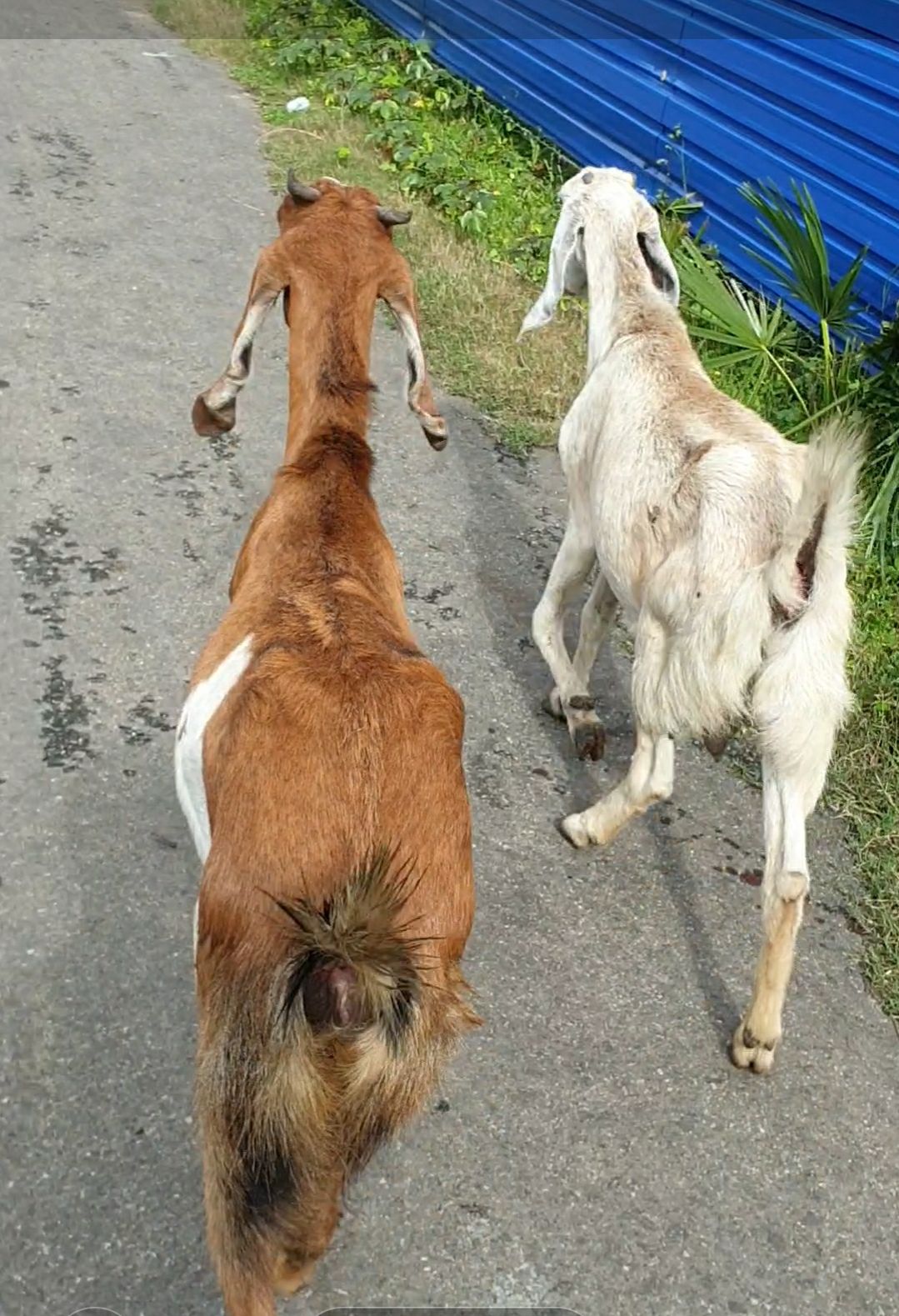 2f8d516c-9908-498d-a703-5d86c0ef104d