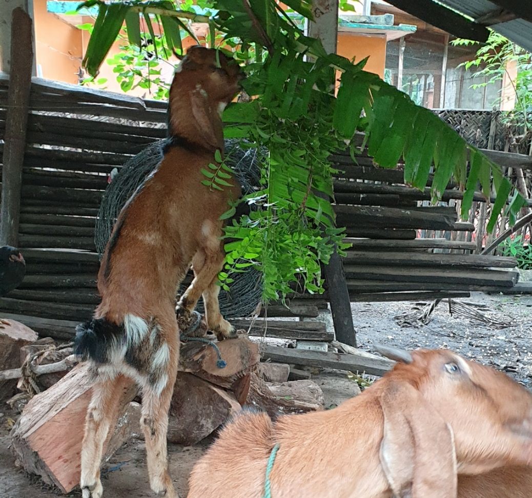 3df7ba2f-347e-4e0d-993f-f4260e2d7d12