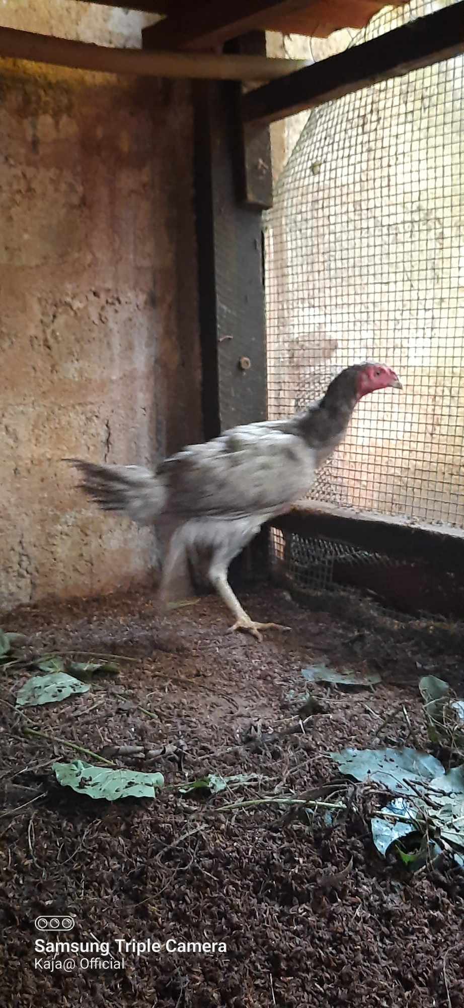 413466120_392180843313771_590767059101010805_n