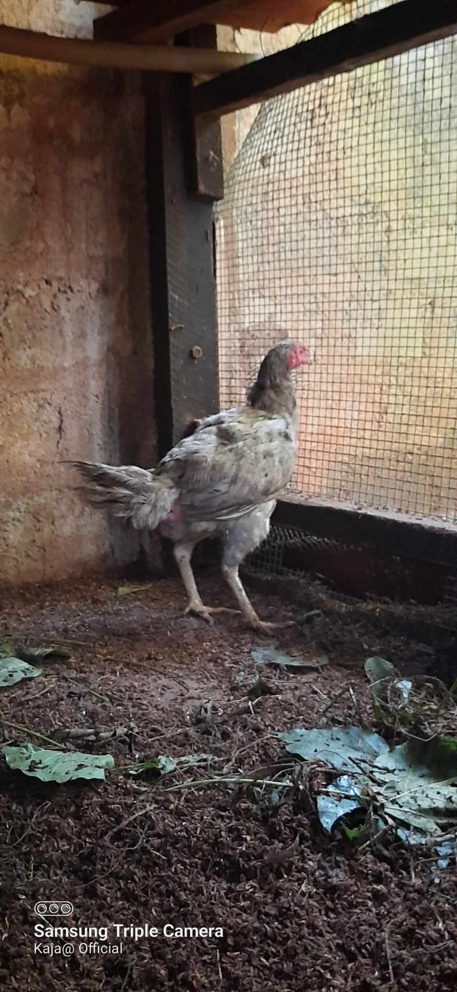 414053872_742600377463411_5559141844452987583_n