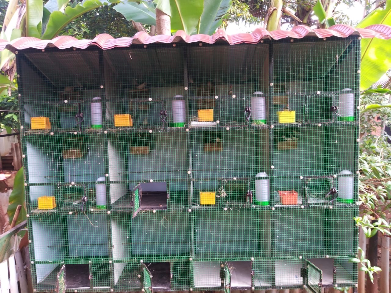 41E9D05F-ED66-41F3-90A8-05C742B86812