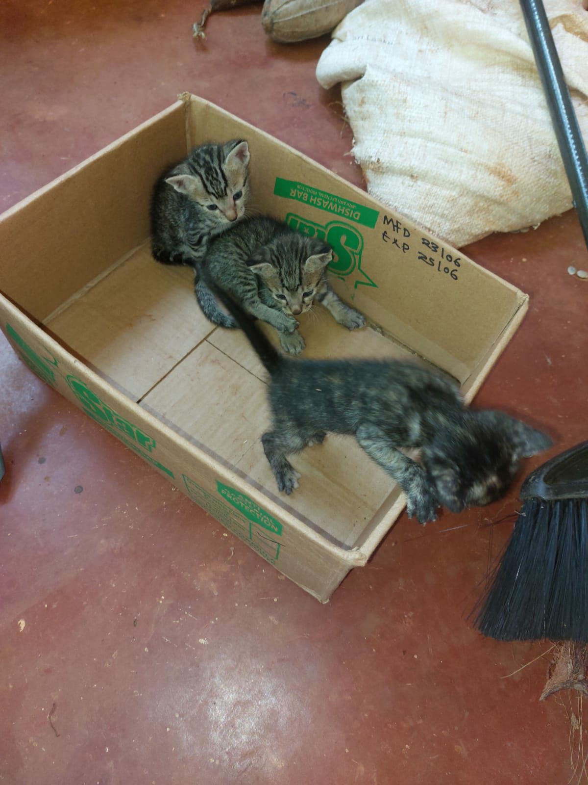 42953355-68c1-4aa7-a77d-adbd788f322e