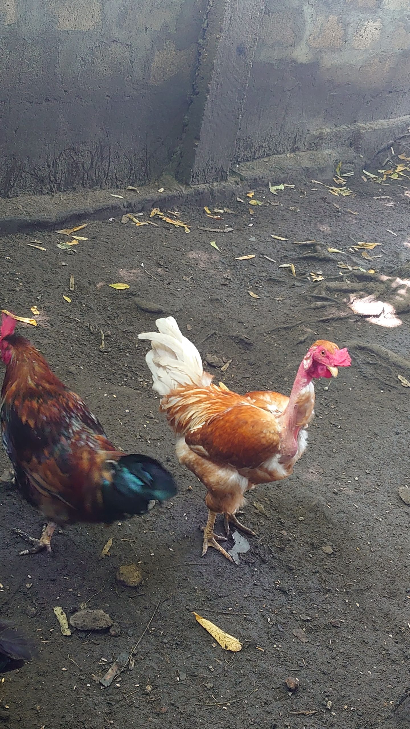 466b9e1c-6702-4e22-9031-629618dcb2de