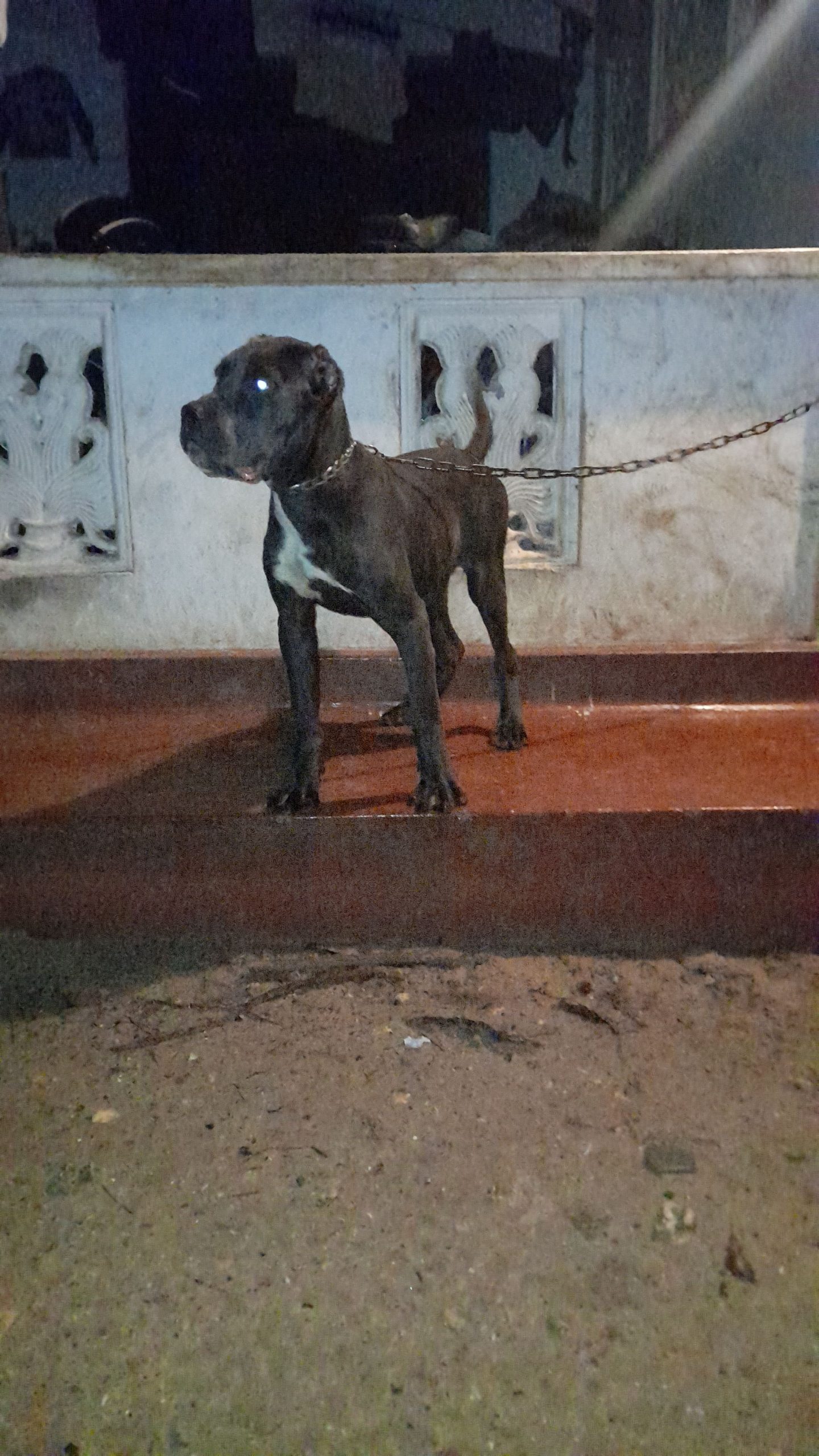 4bc6bc97-b468-490a-b051-aa19e85fb70b