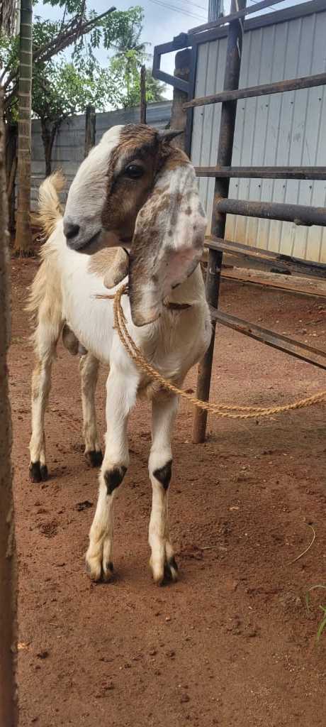 4c893c50-7327-48a5-a1be-8319f5777163