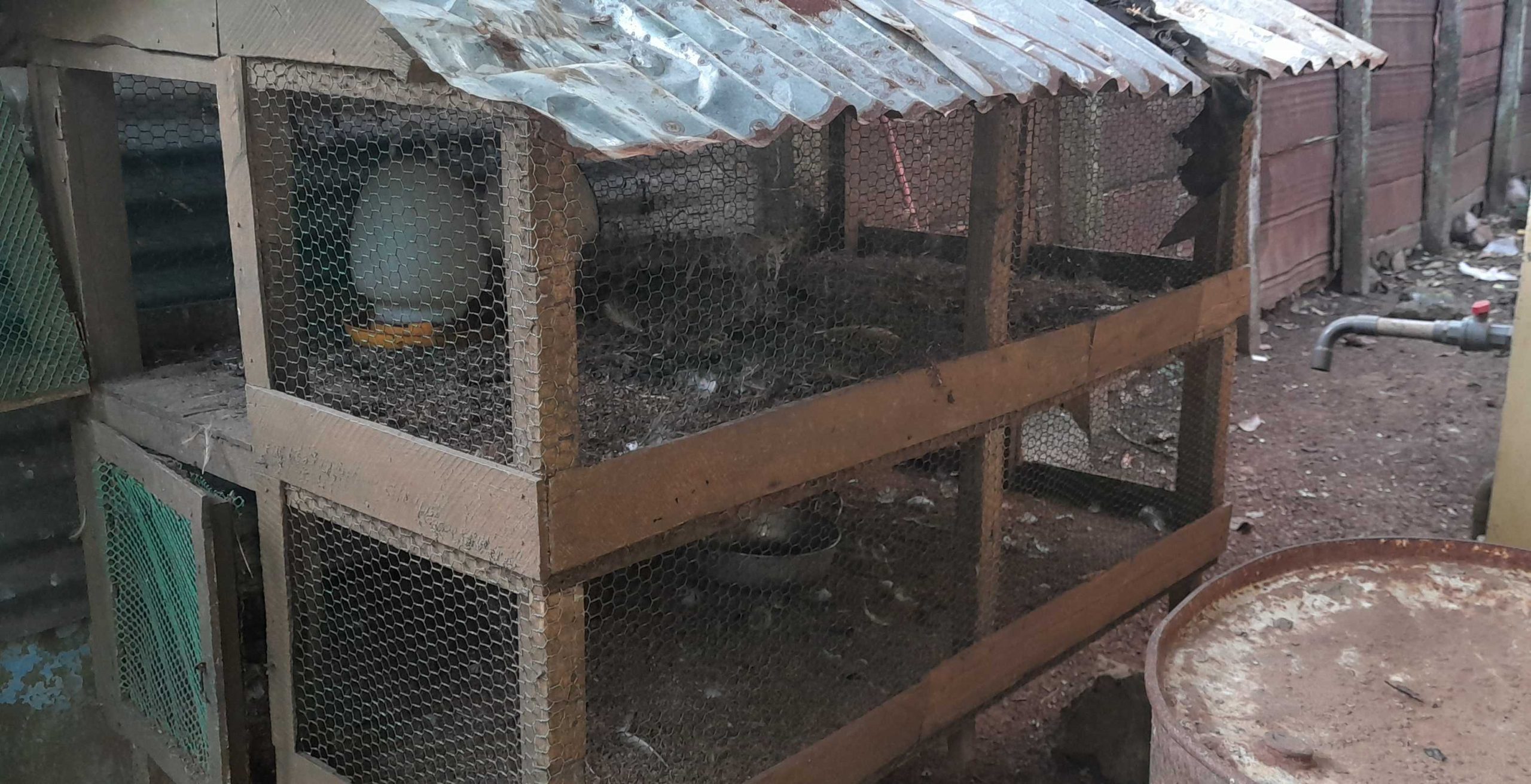 5d66a7fc-d150-4cc6-8bb6-7764fd388007