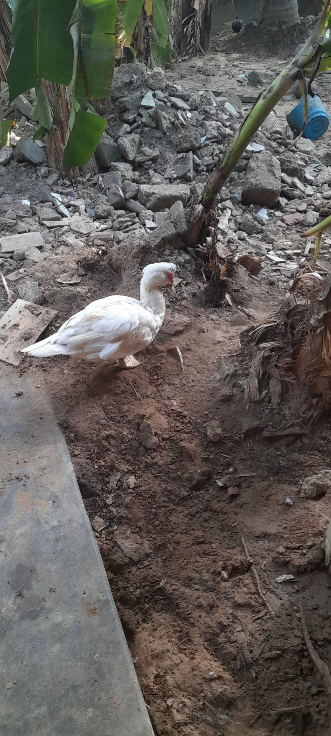 623f5417-b806-4180-a724-5b0dcd18d54b