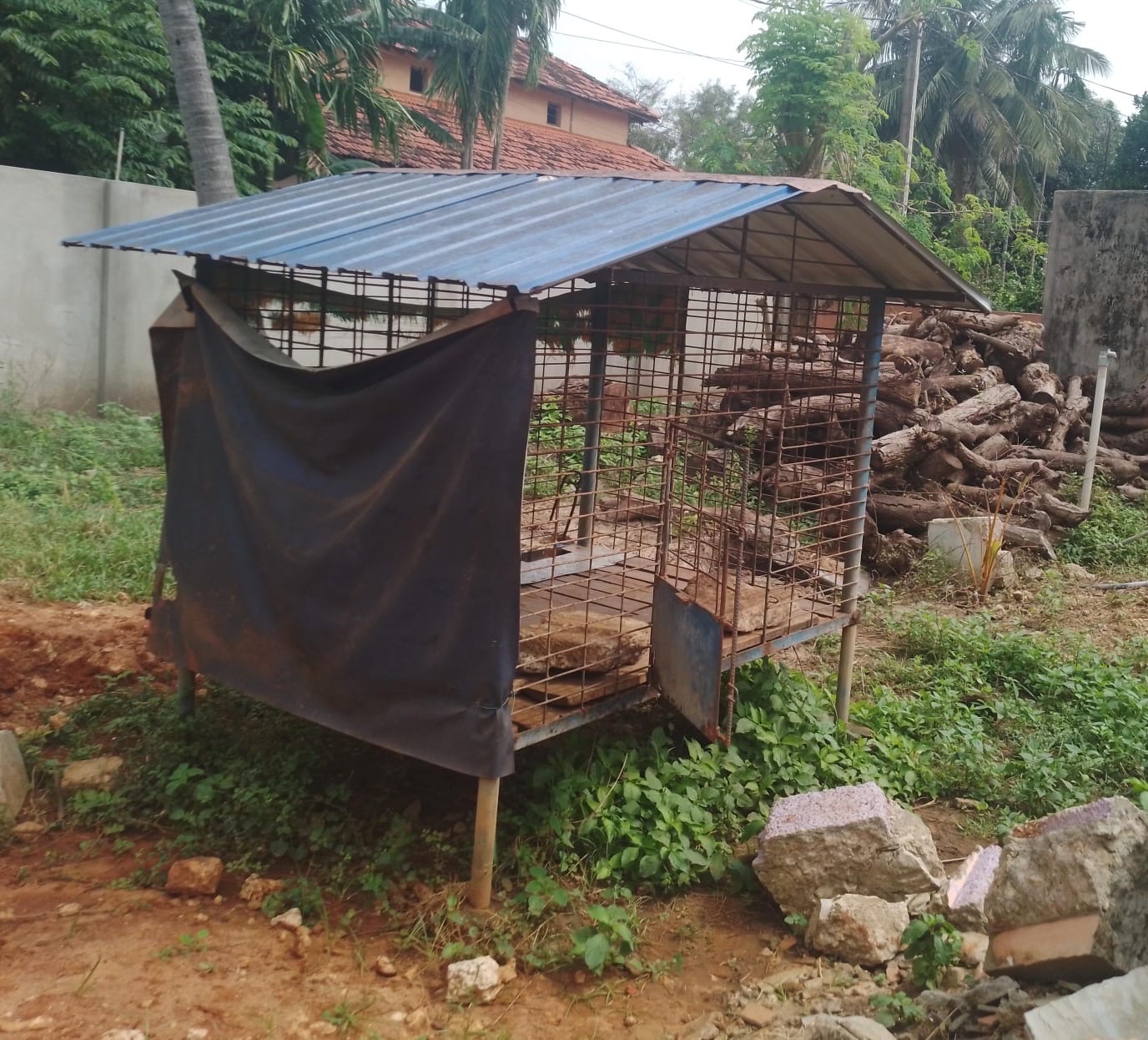 6D3B7B56-2430-466E-B3C7-3E88DEF44D07