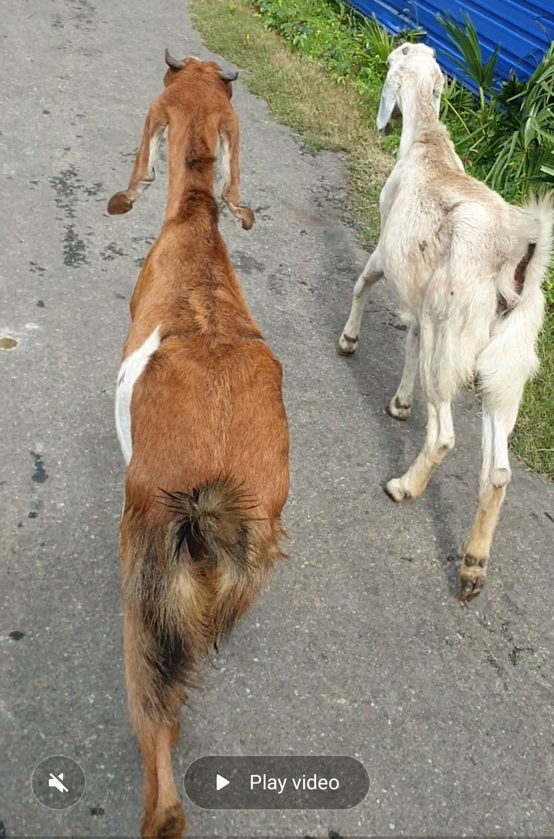 794930f0-6d2f-4f32-90c6-63198024e5a3