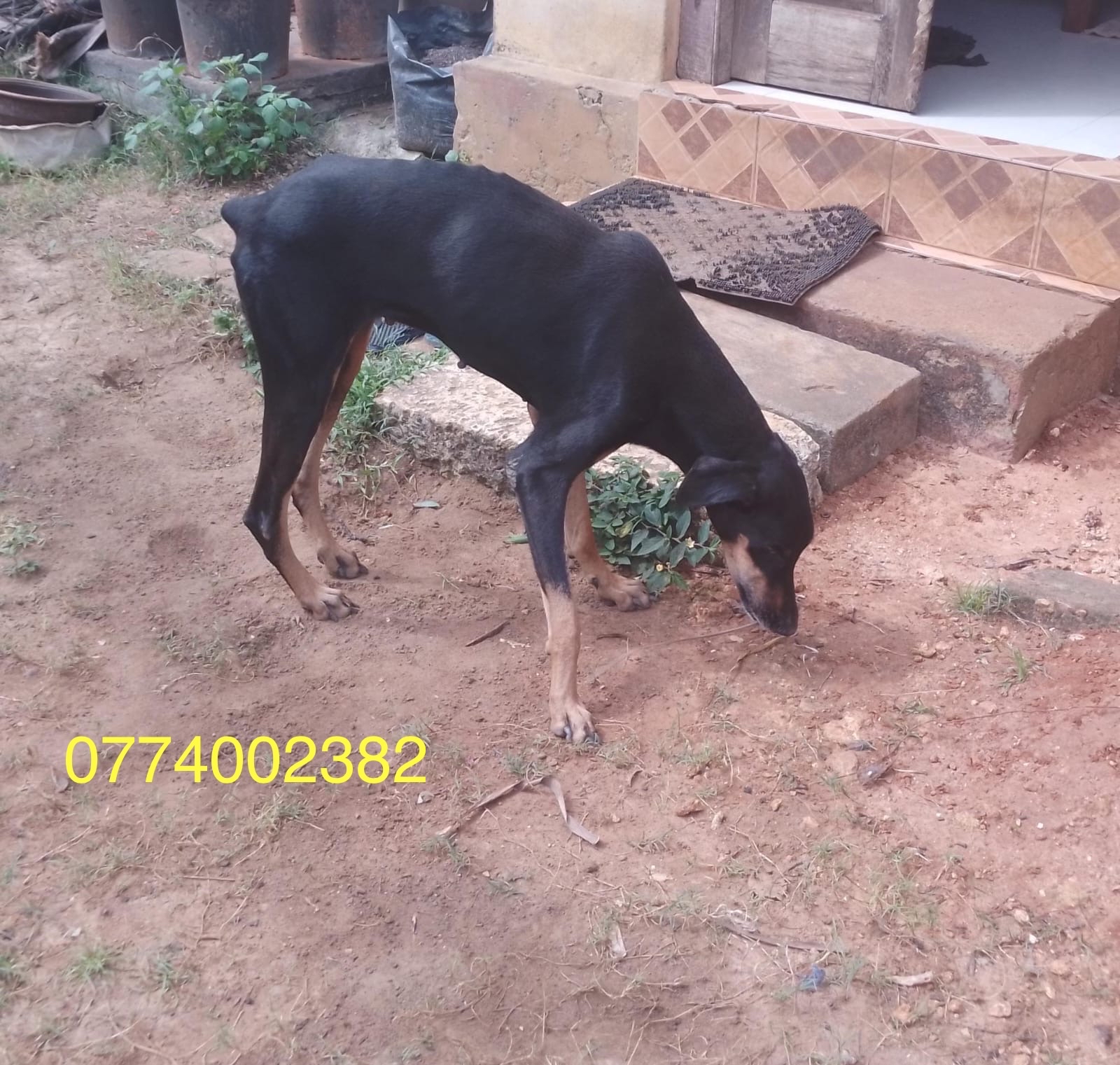 F15BF3AB-6FF5-460A-A012-77FD2F6BC1DF