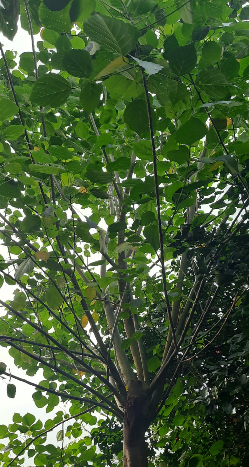 WhatsApp-Image-2024-01-20-at-09.36.13_f700efa9