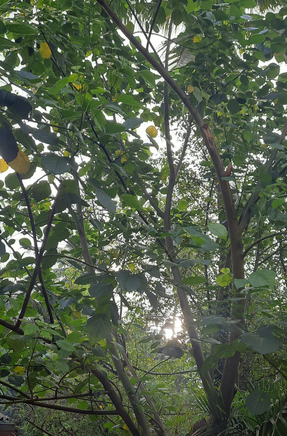 WhatsApp-Image-2024-01-20-at-09.36.15_7c053051