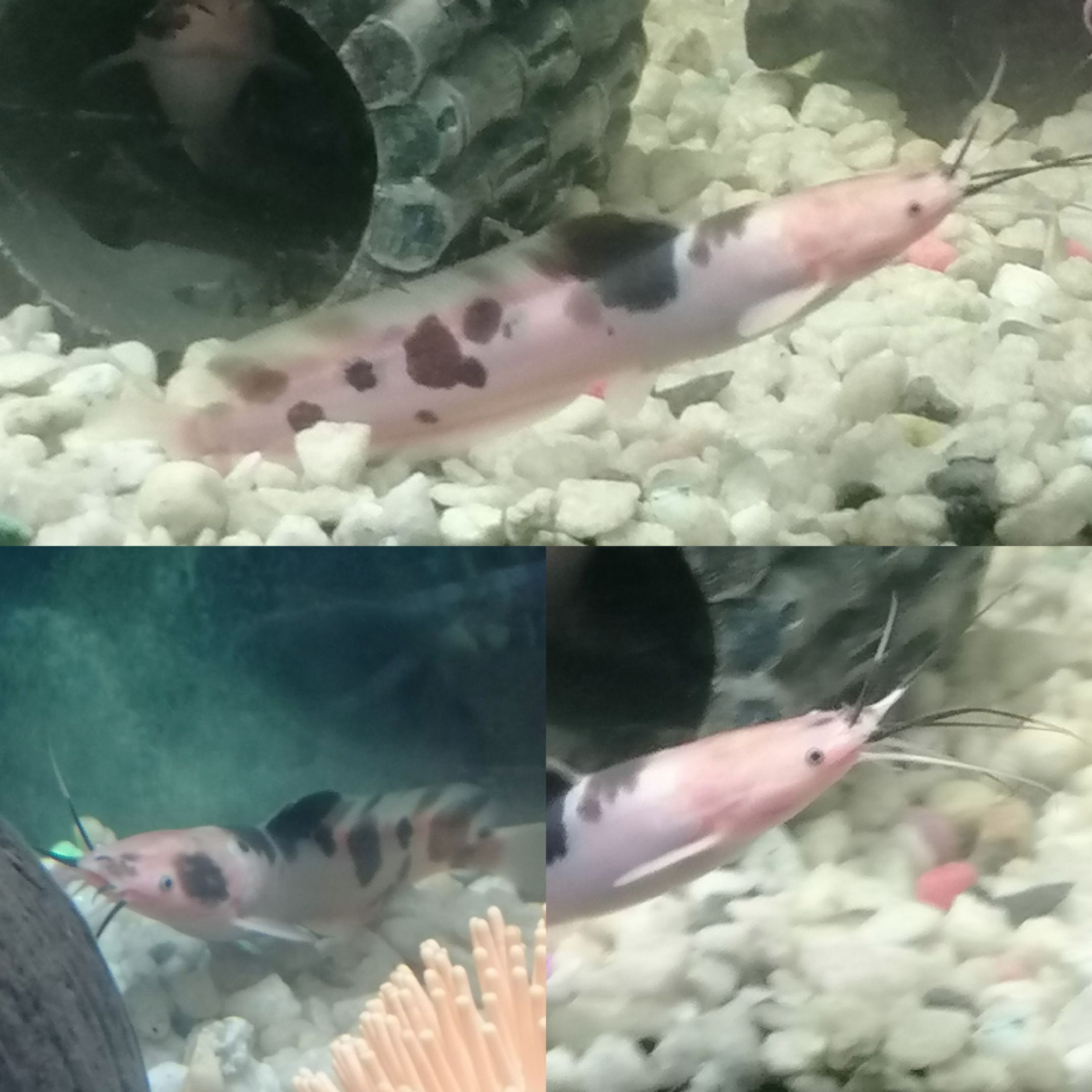 b0b9583d-b622-4208-b9eb-c8c61be91575