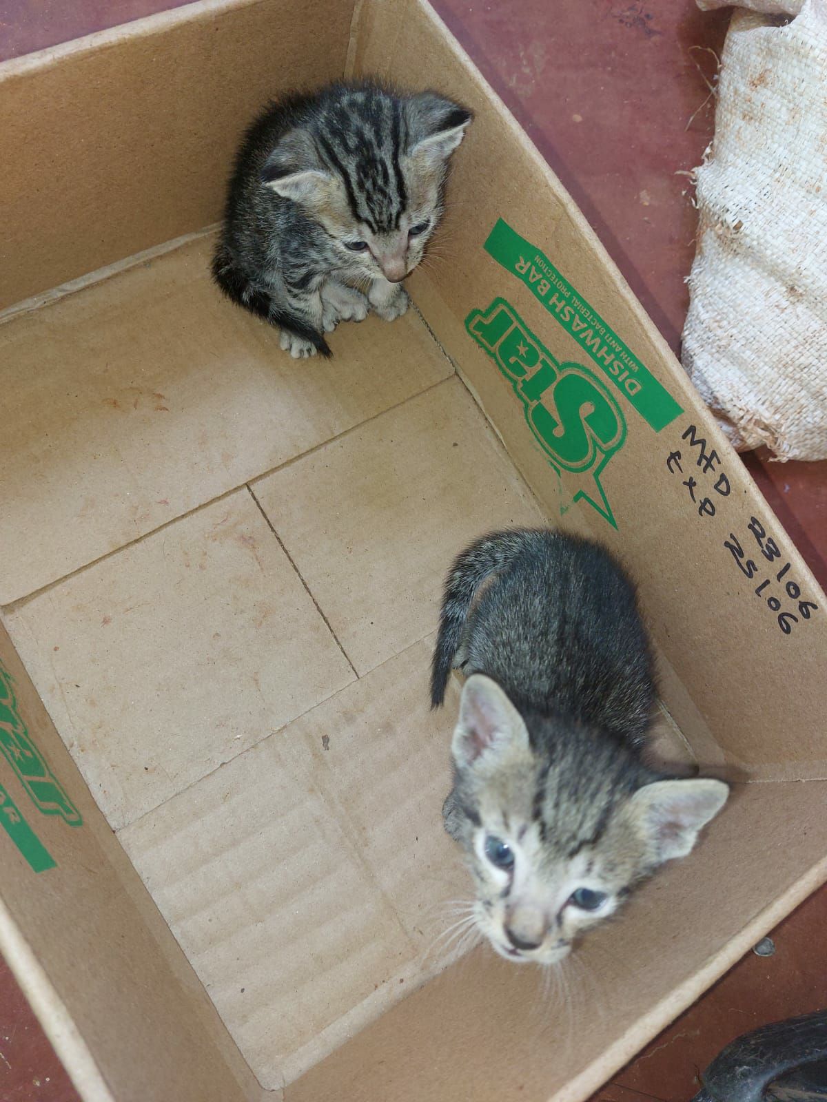 b246f4f0-47fe-4943-a6ea-bb09c0f55b36