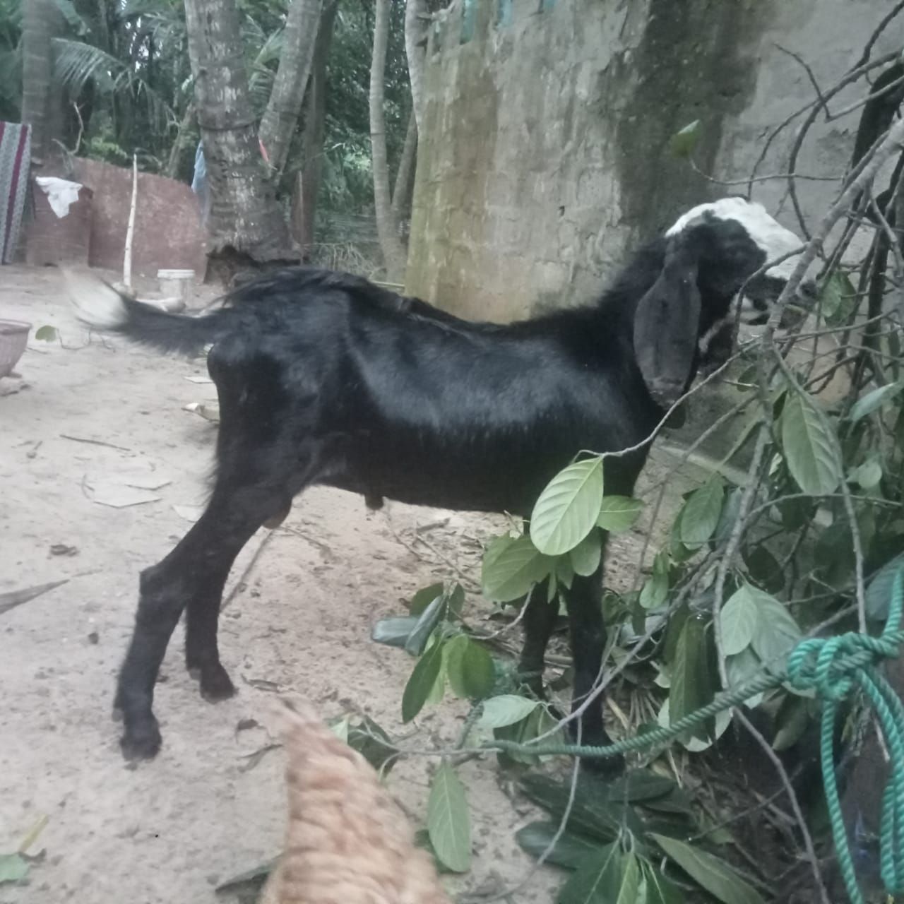 b3fe63d3-7a3b-42f8-bf98-b43479daf20b