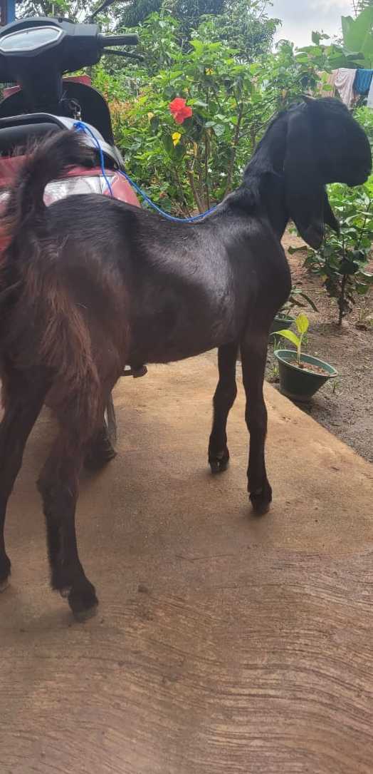 b608bd5e-5770-480f-8498-600b8b281387