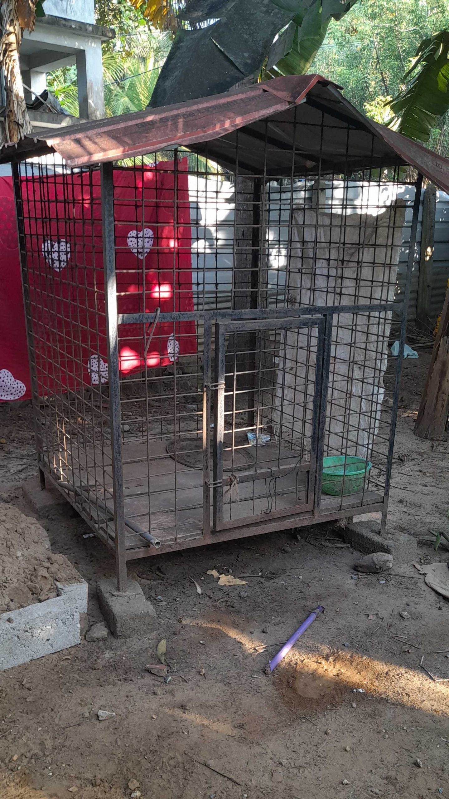 c0282245-d4d4-48bf-9c54-32997a70ba7c