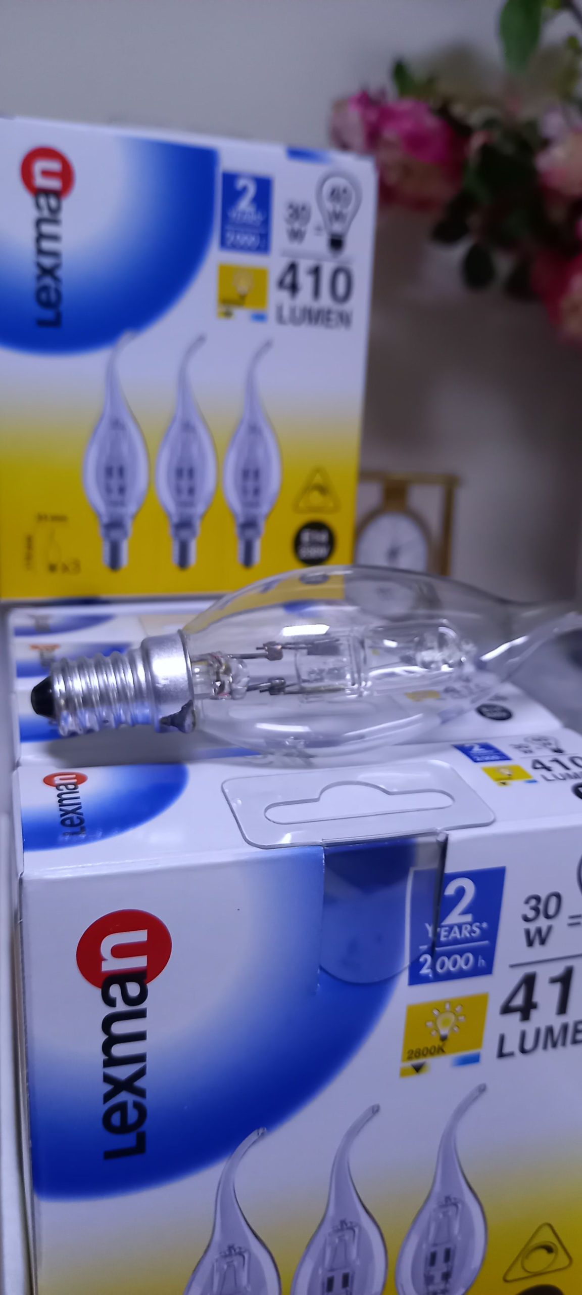 c981a4ca-b6bb-4f1b-a25e-981964e8a4c8