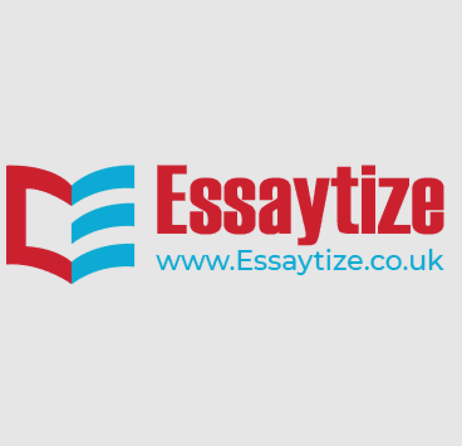 essaytize-logo