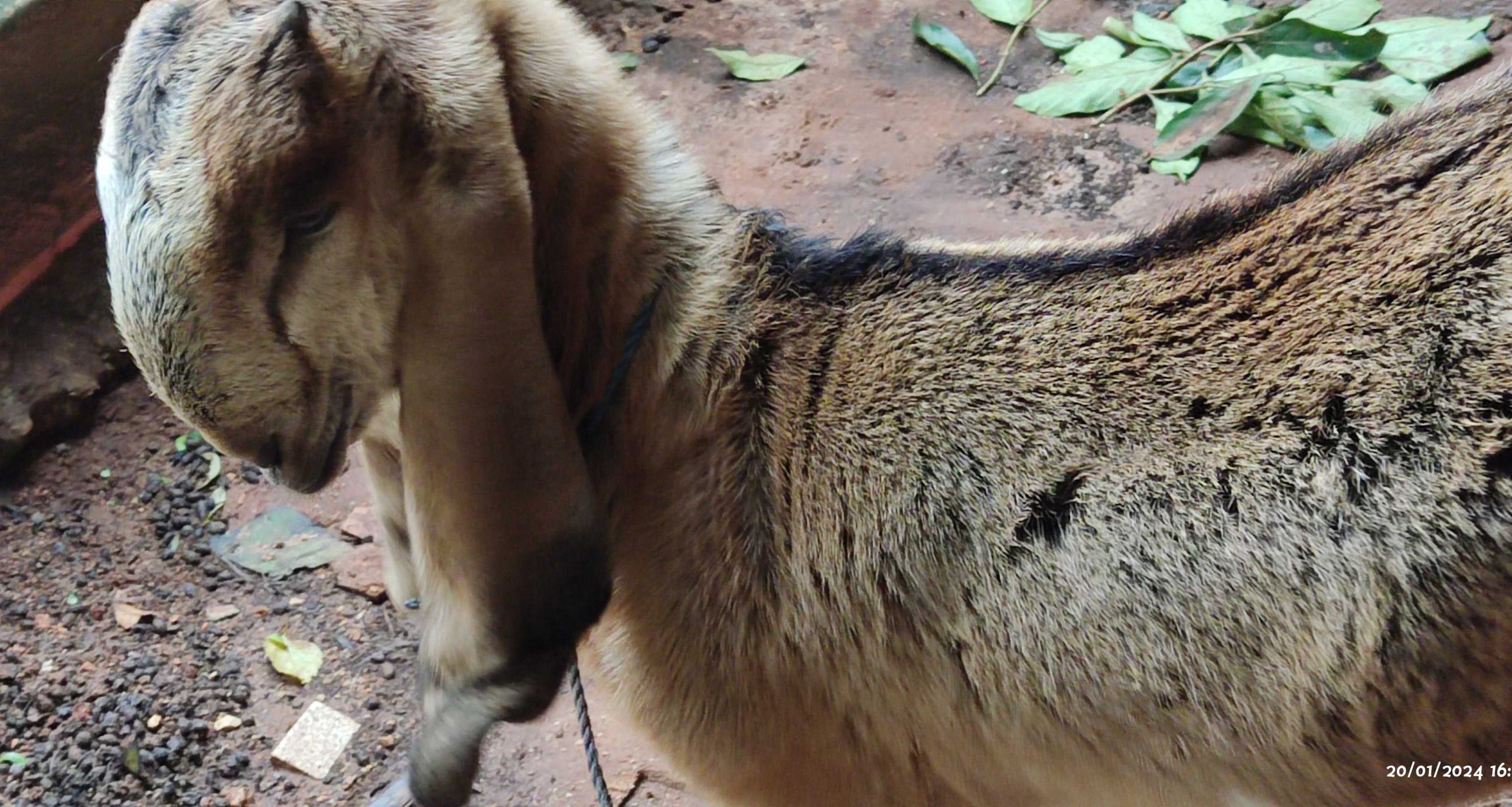 f0d66e93-dd79-4333-b3b1-3a78458585ad