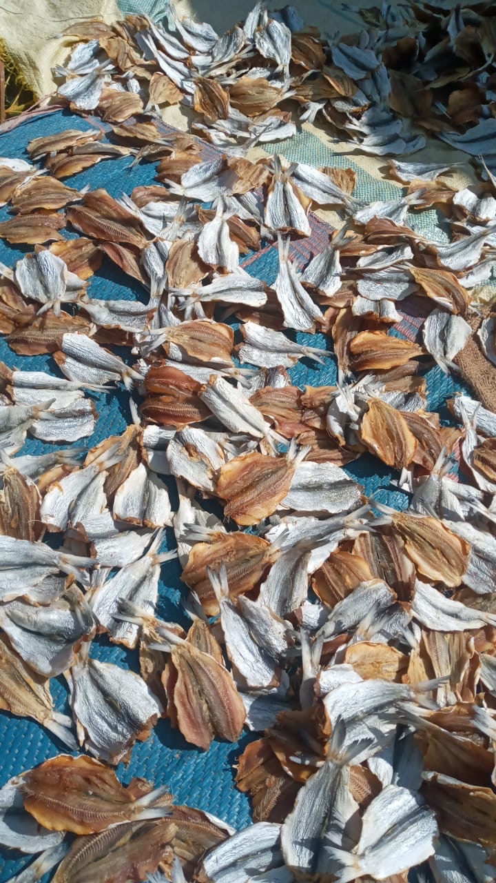 19D9B09F-AD1E-41F3-8BB7-478585D8C7DF