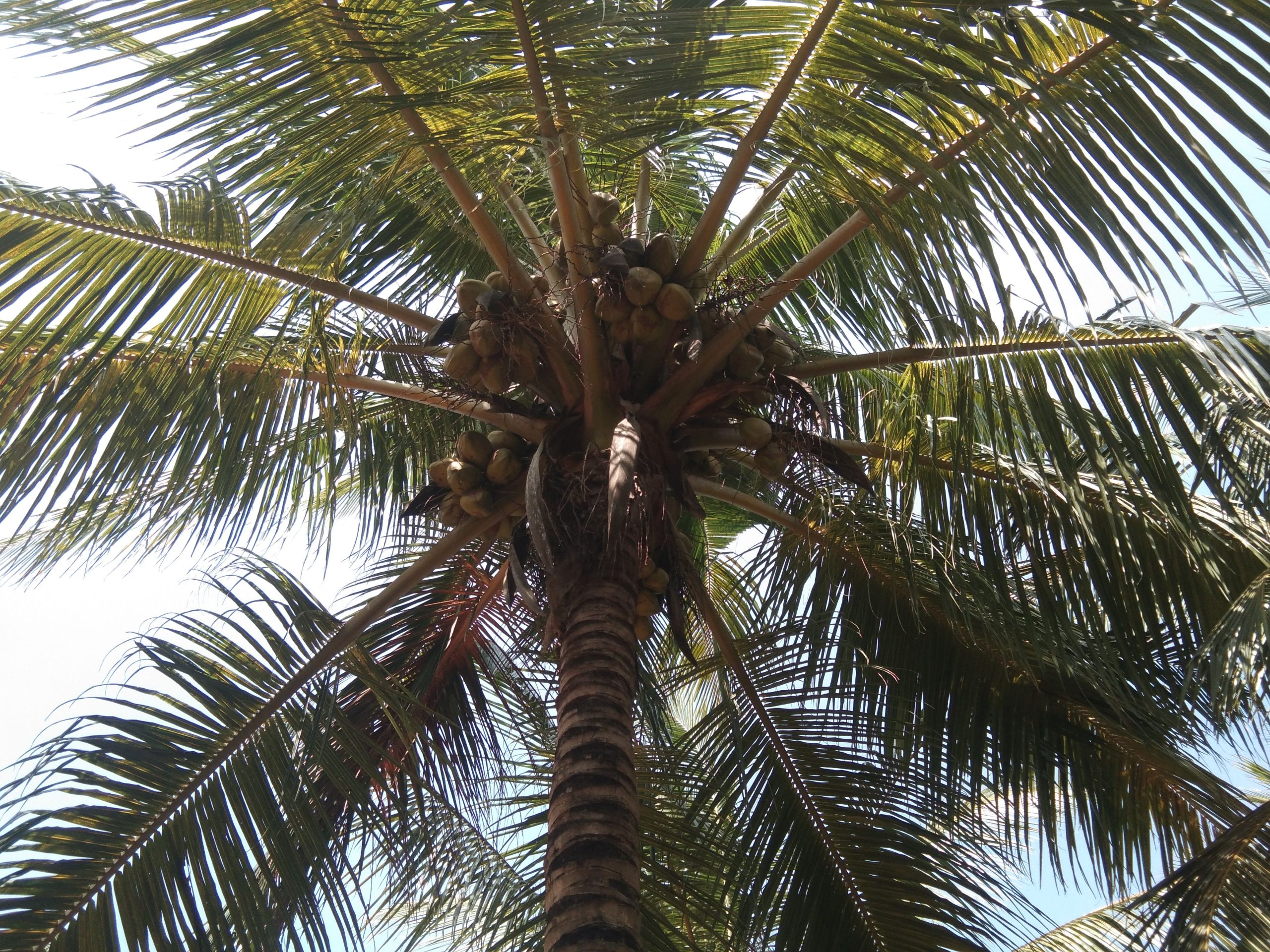 24a31543-e9d6-4ec4-a884-fb50eb24757c