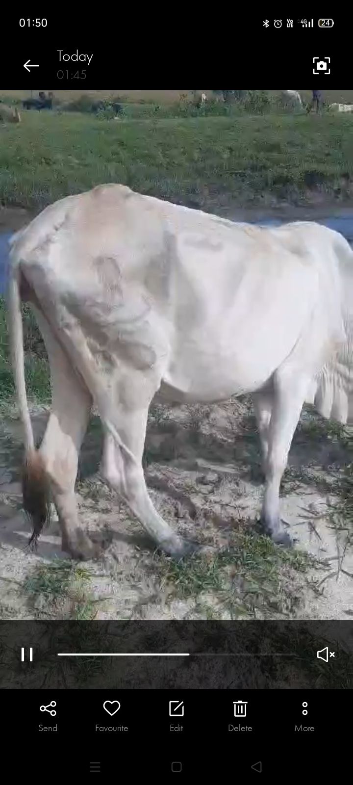 2595b150-b8b7-4aaa-b8b4-f93d1c5c2a82