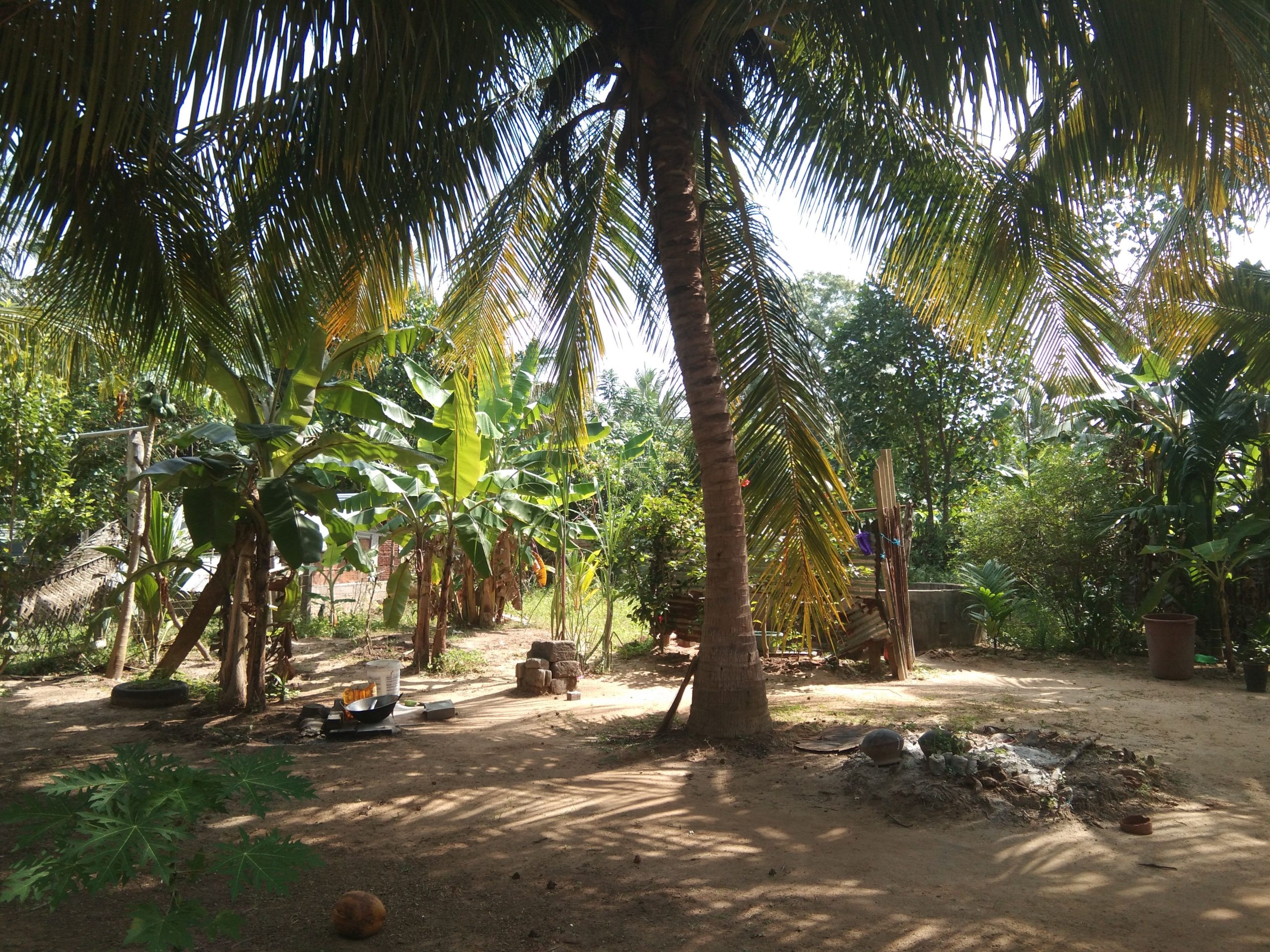 28592890-af97-4693-81f0-665354b392a3