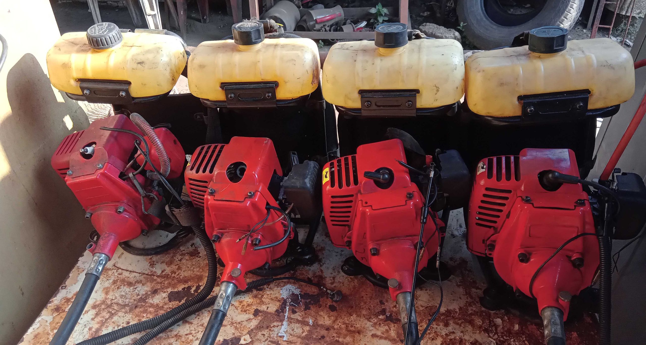 2b3eaf08-8a47-4281-86c0-4b25f7e5c09b