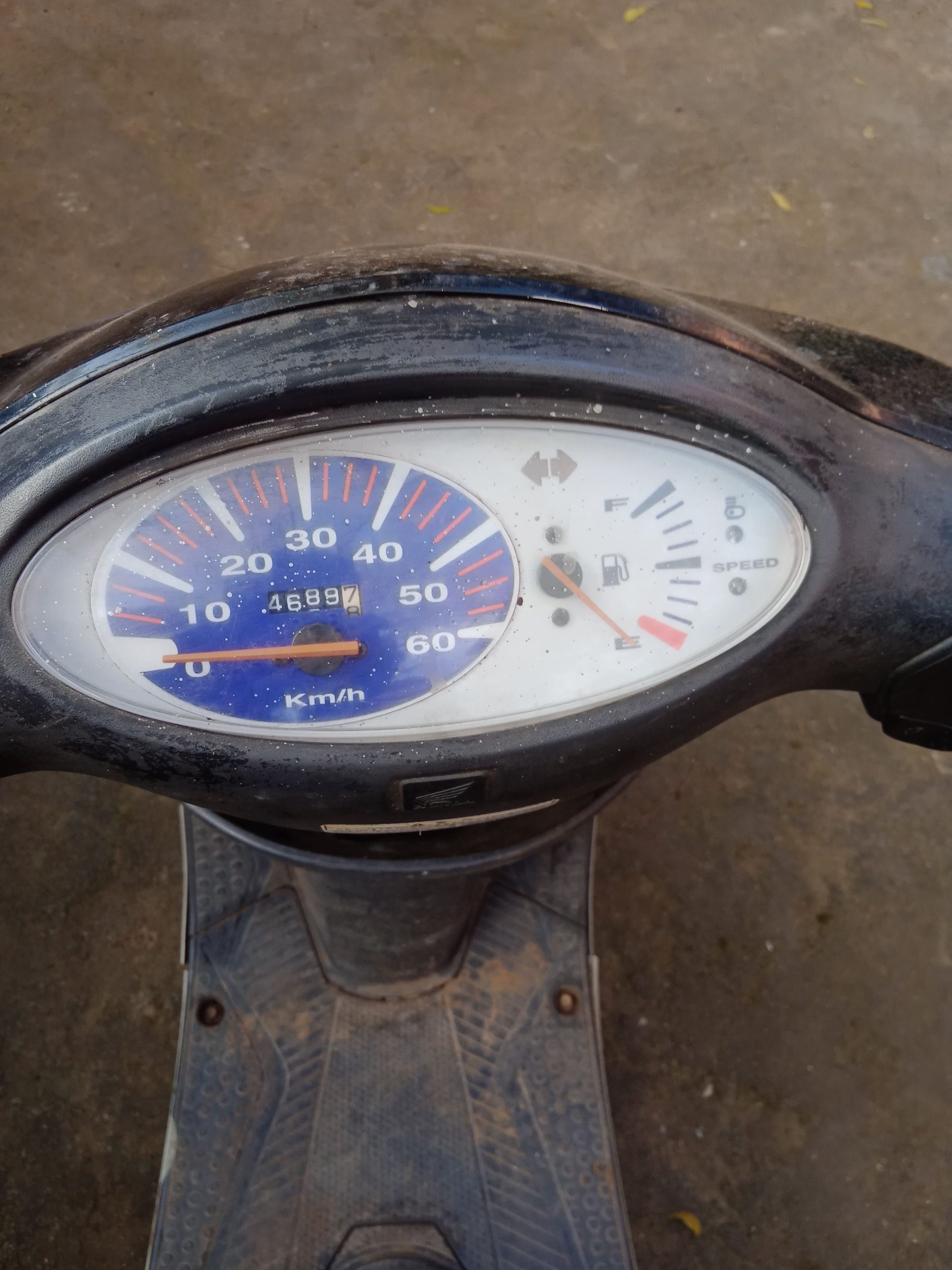 3de11dd6-48d5-4f03-a9f5-8c0e414f5410