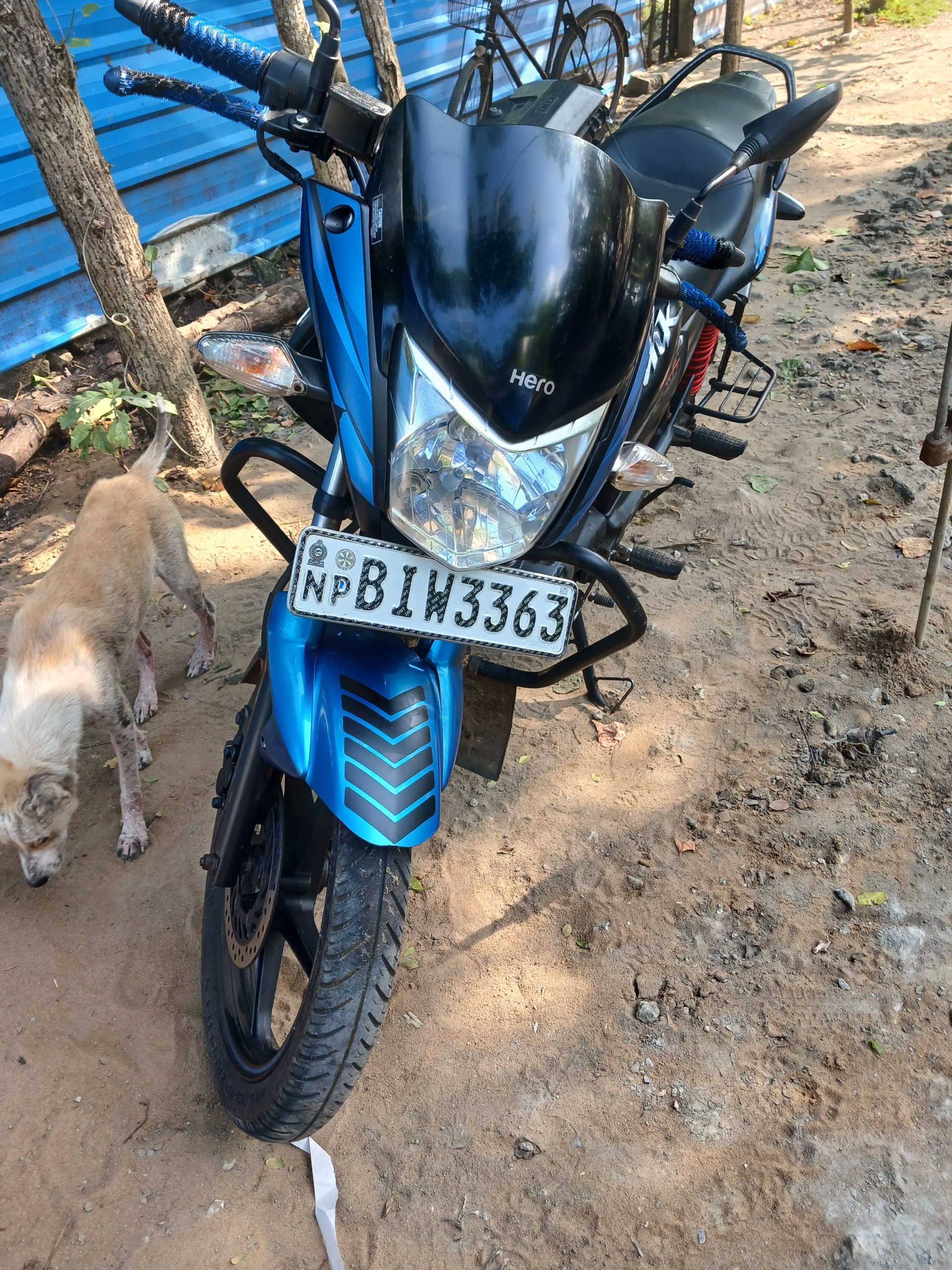 5036bedc-6563-472a-bf91-414f9be6d150