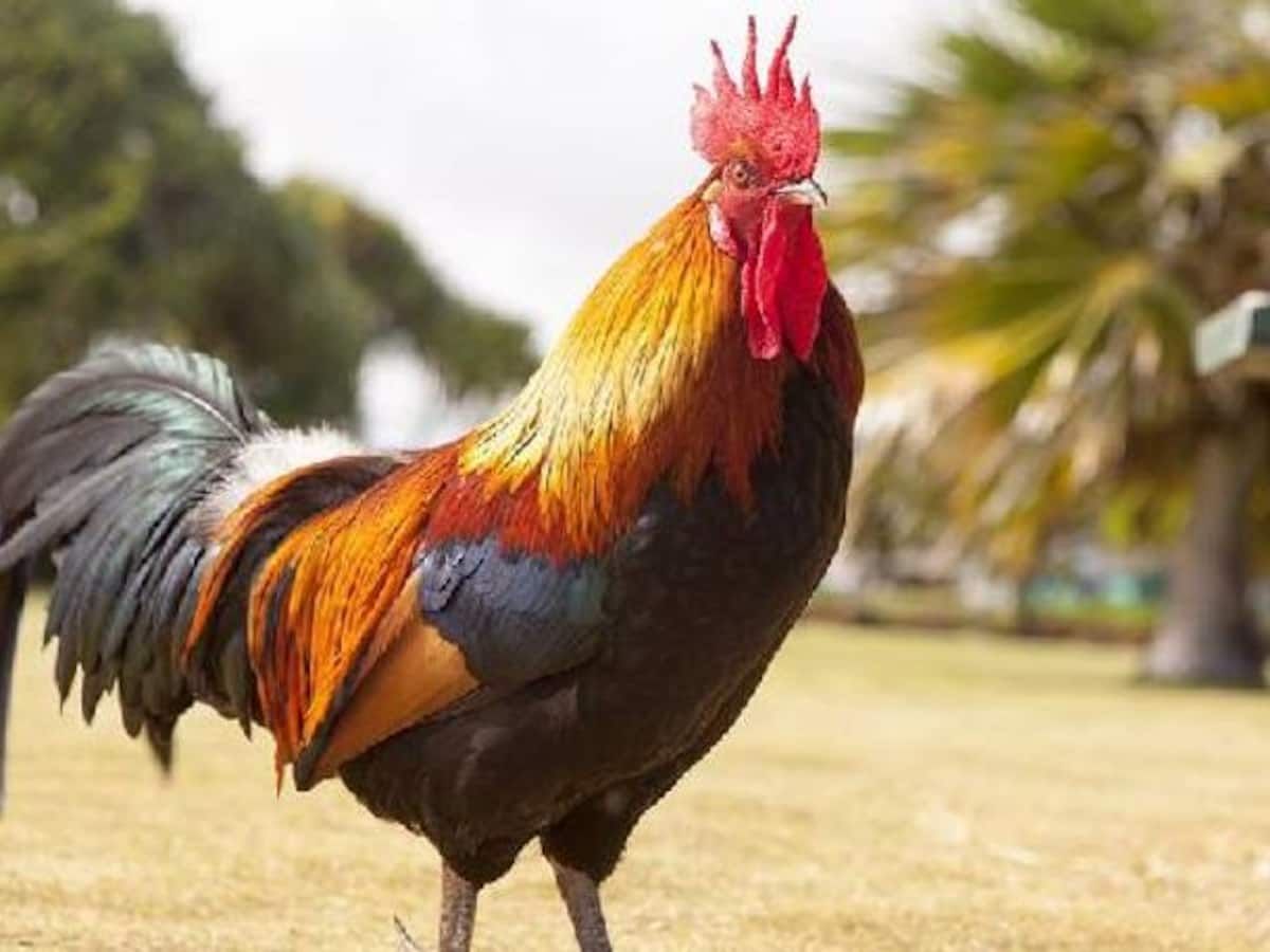 5d56d65a-94a9-453d-8237-979072197788