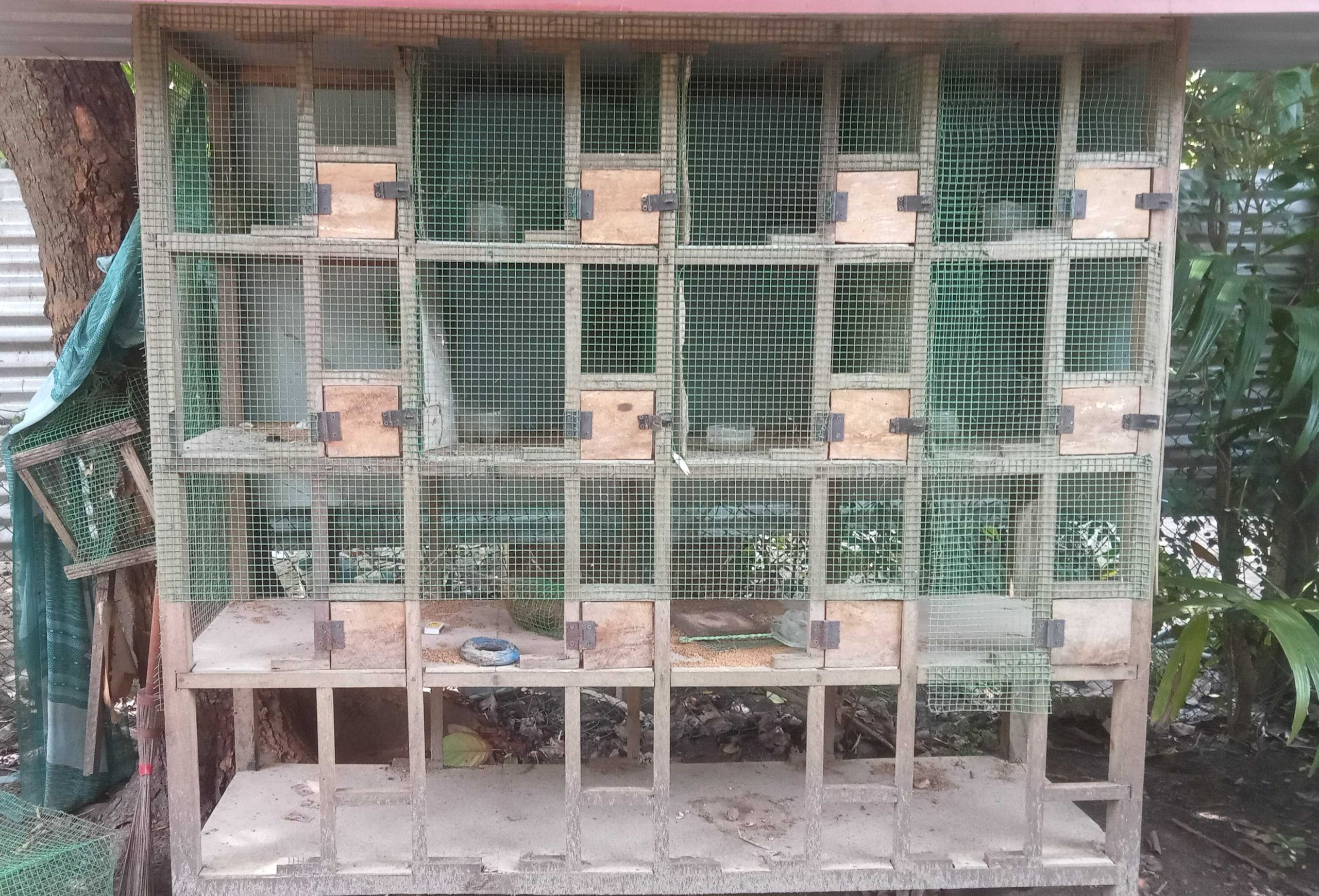 767ca160-147b-47e4-9f36-e67273d256e1