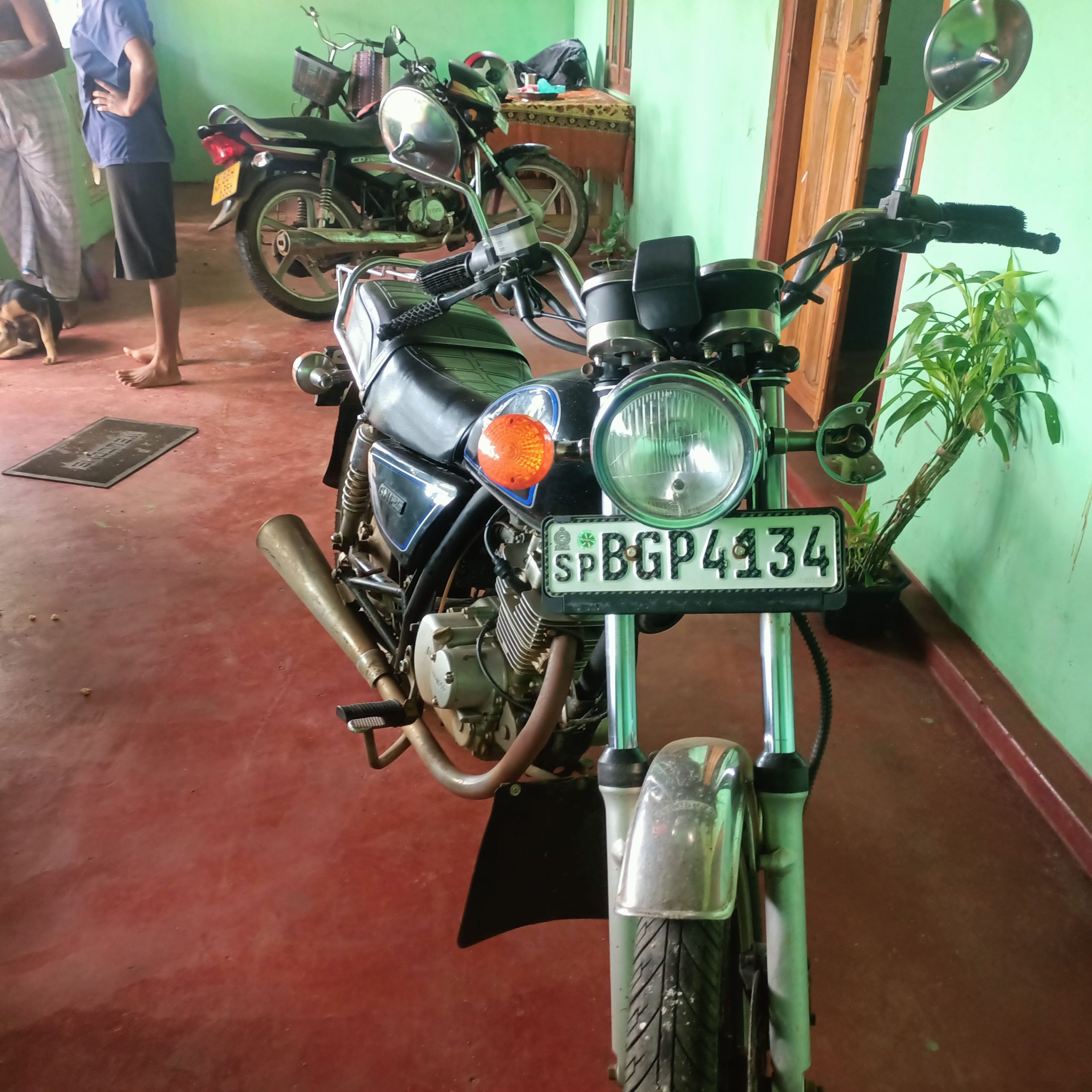 86cd325f-2bbc-4769-be80-fead4c30e8a8