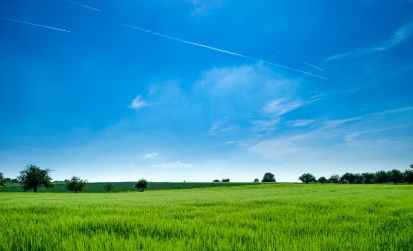 Screenshot_20240206_220024_Chrome