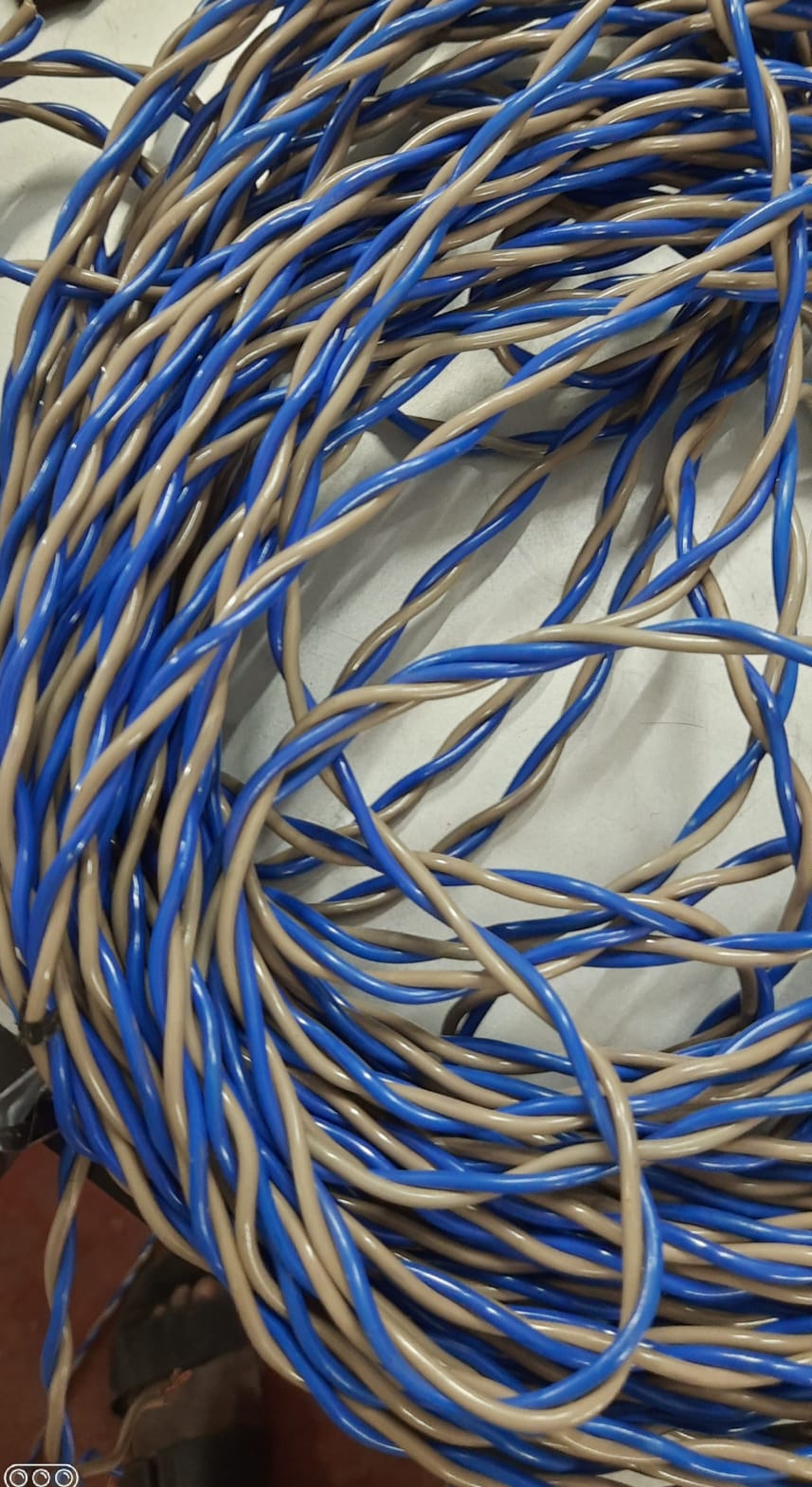 WhatsApp-Image-2024-02-24-at-15.32.37_1c224132