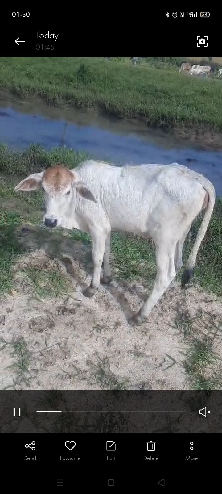 bf7fbecb-4a8a-4633-bb85-7ddc61b61f4d