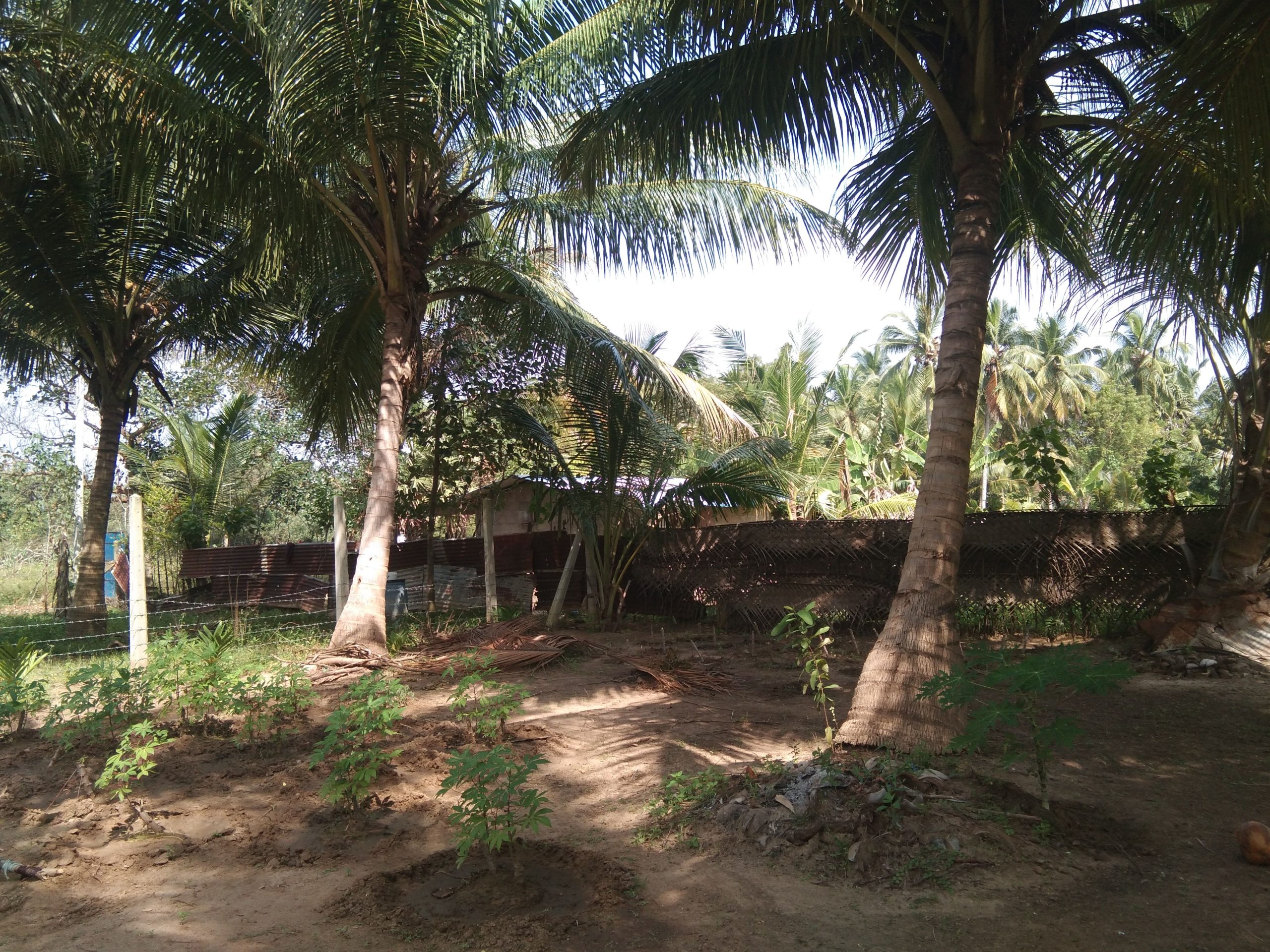 c926bac0-851a-4796-b217-6b625e4ad344