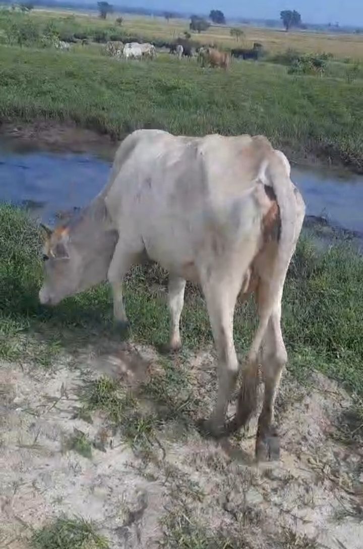 da9aa7ef-95ee-4979-81ab-f2fe036170e2