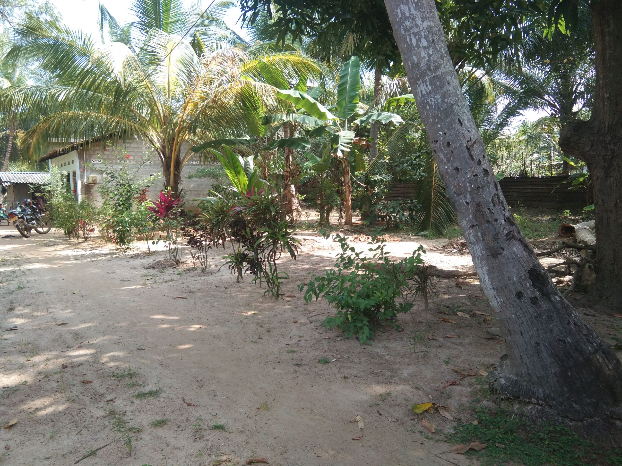 e3c5275a-bd5d-430d-a946-00ebc4c84224