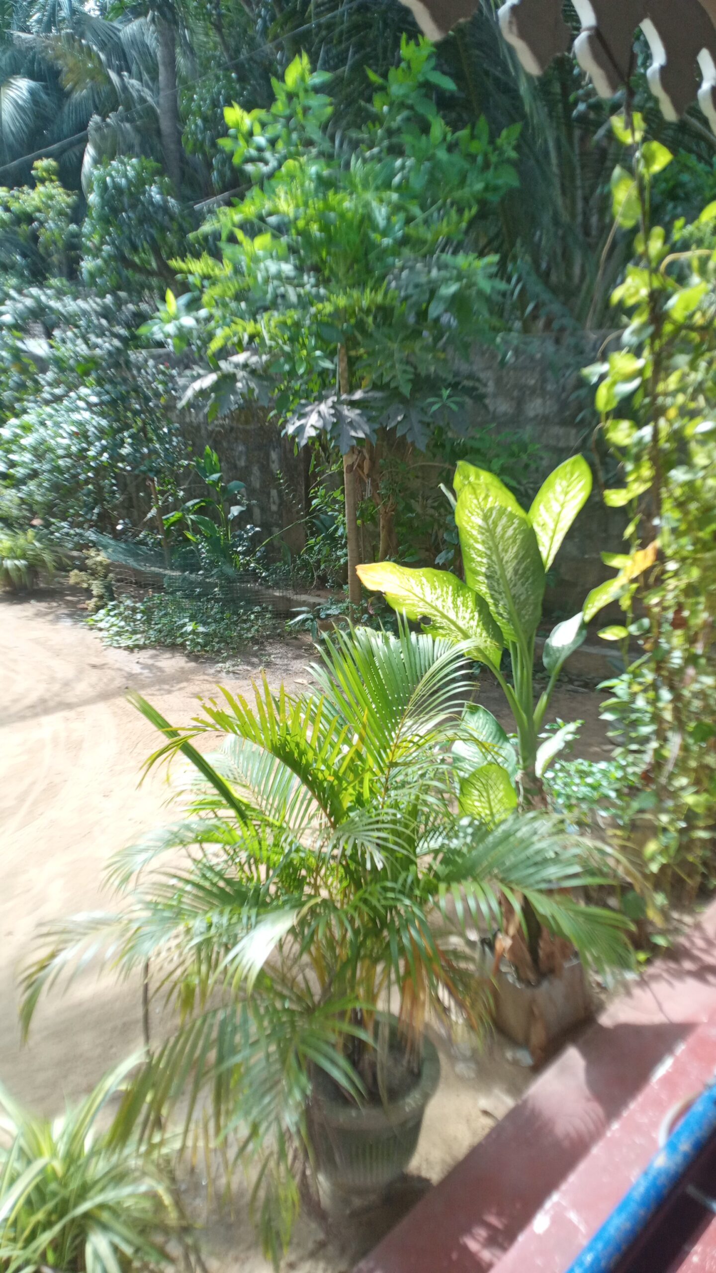 inbound3658361818026259121