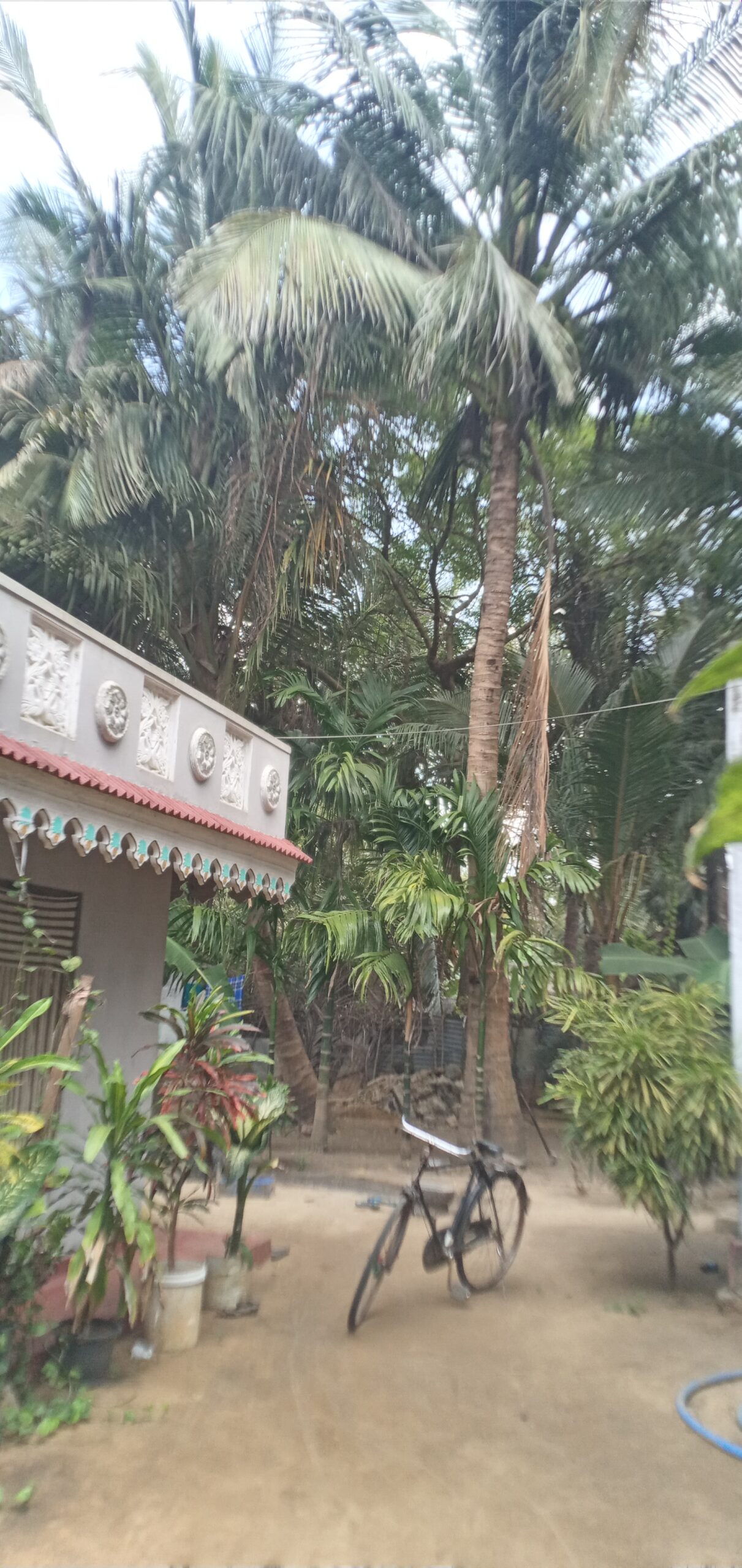 inbound4234476066462673233