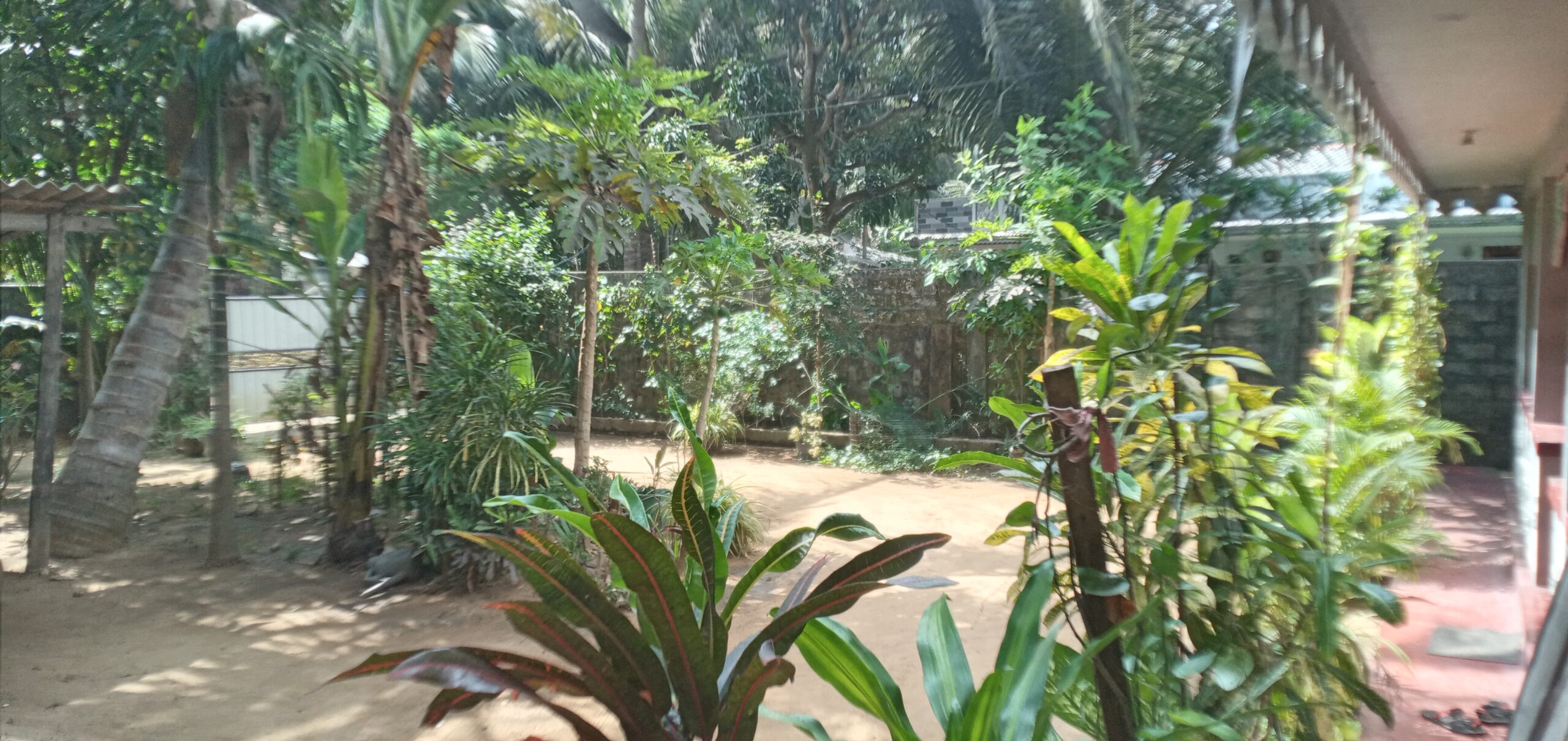 inbound5168411444976943518